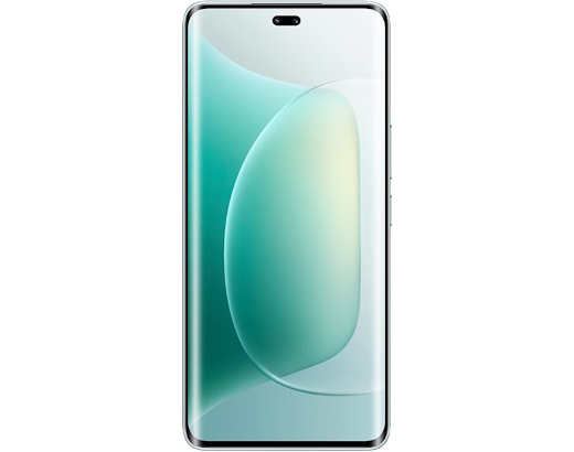 fot-1 Honor 300 Pro