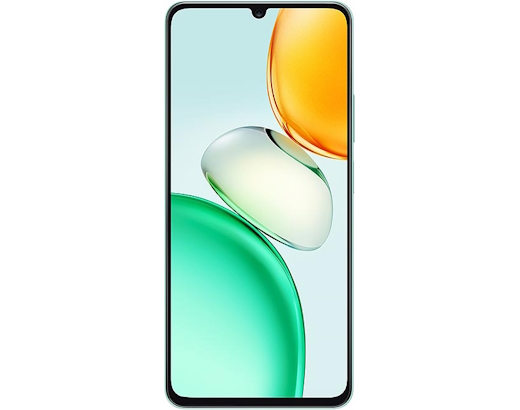 fot-1 Honor Play10
