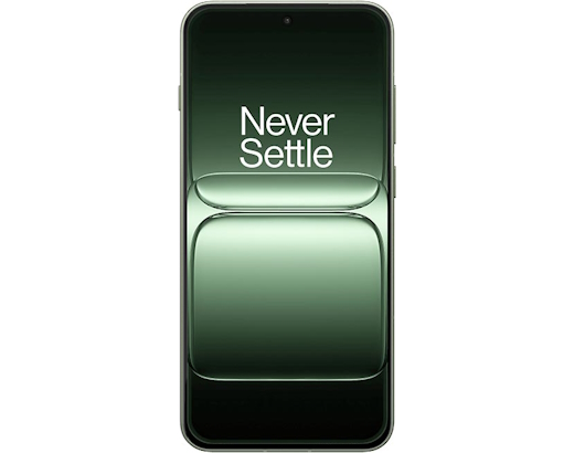 fot-1 OnePlus 13s