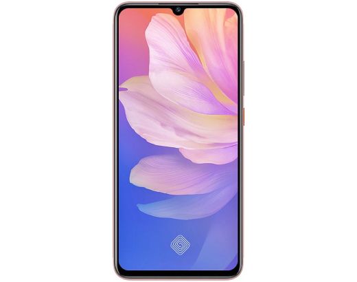 fot-1 Vivo S1 Pro S665