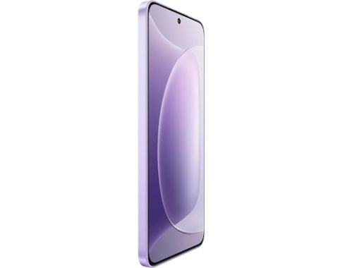 fot-3 Honor 300