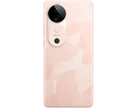 fot-2 Vivo S19